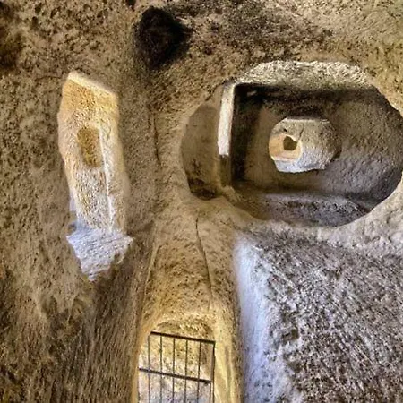 Mas De San Antonio